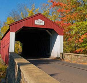 Local bridge and neighborhood